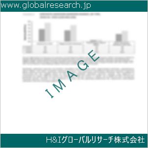 グローバルリサーチ調査資料のイメージ